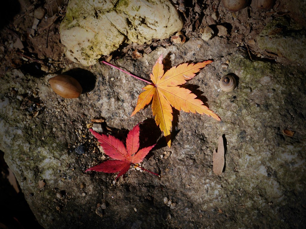 小さなステージ