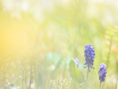 やさしい時間