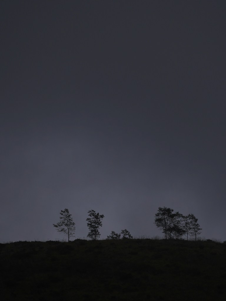 雨霧