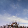 故郷の夜空２