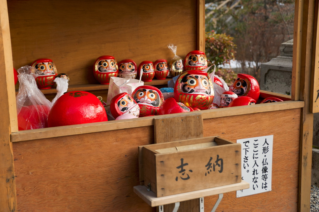 DARUMA