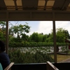 ririT yurigahara