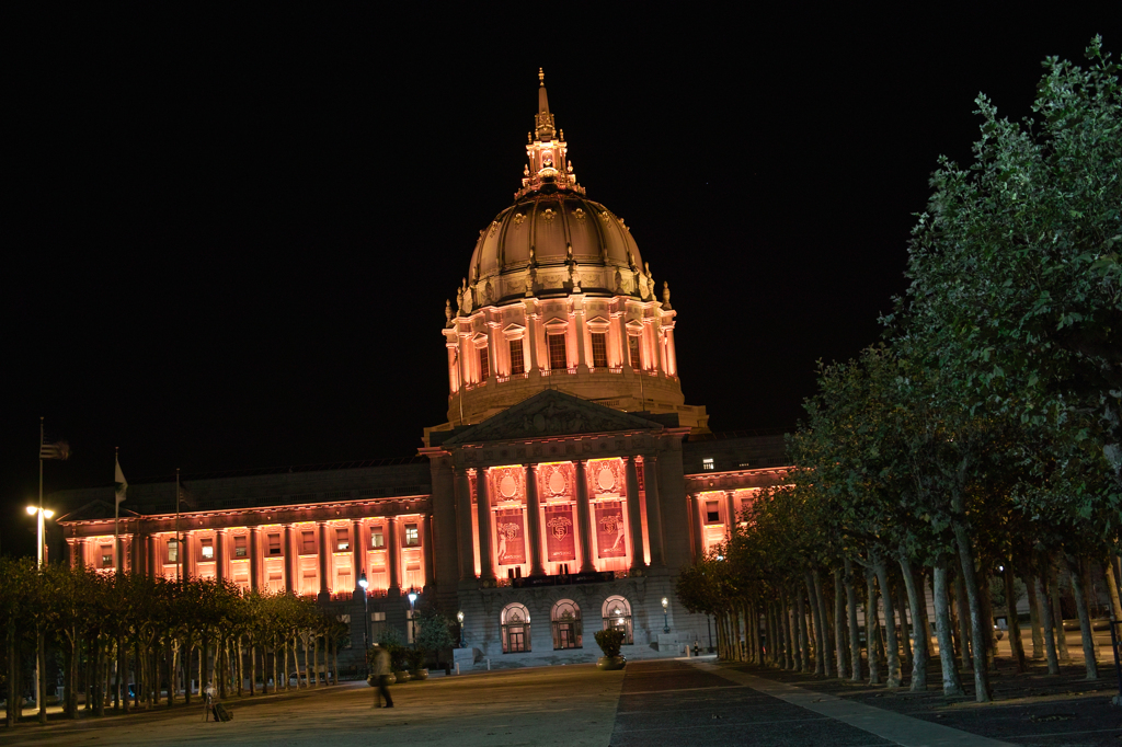 [SF@2010] City Hall -斜-