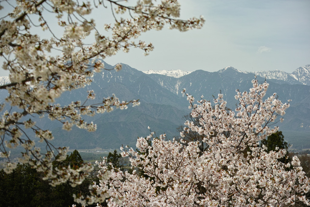 桜×岳（燕岳）