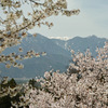 桜×岳（燕岳）