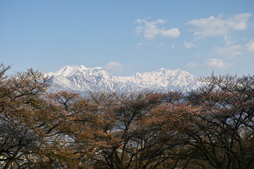 桜早々～爺ヶ岳・鹿島槍ヶ岳～