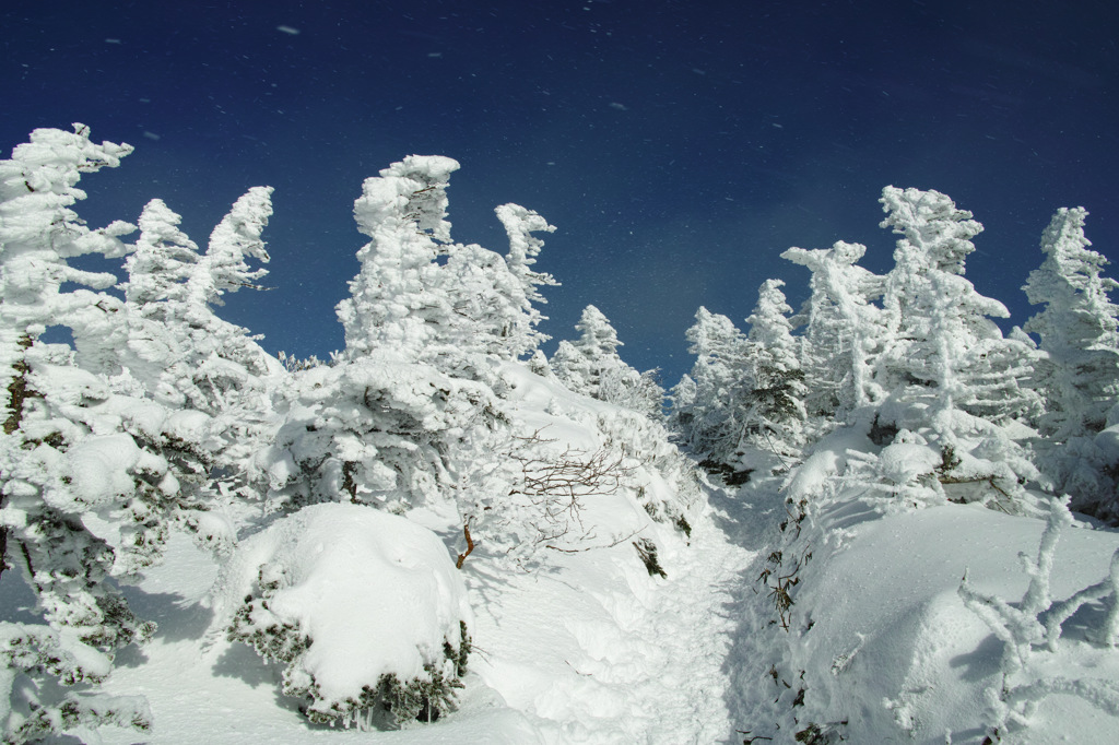 北横岳山頂の僅かな晴れ間
