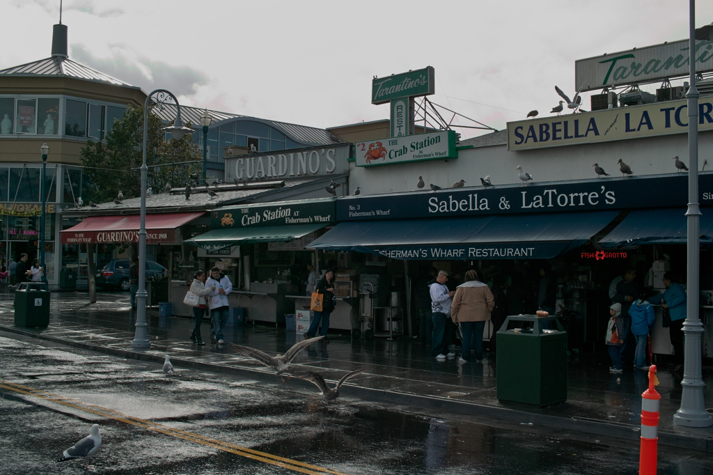 [SF@2010] Fisherman's Wharf(2)