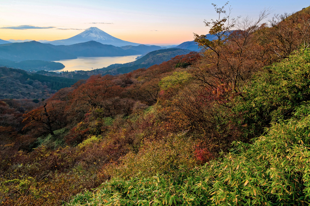 大観の富士