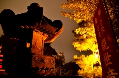 夜のお寺