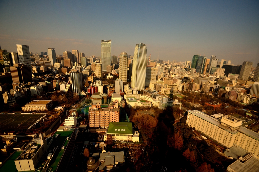 迫りくる東京タワー
