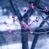 存在感