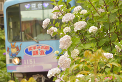 蔵出し②