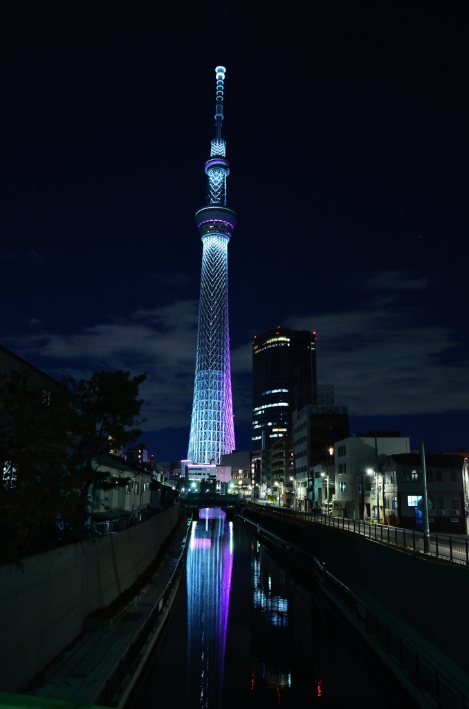 逆さ姿