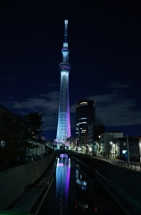 逆さ姿