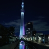逆さ姿