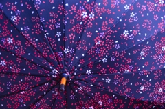 傘桜