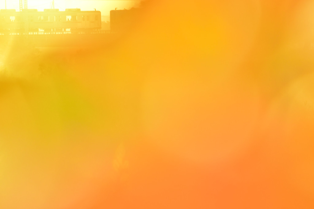 光に包まれて