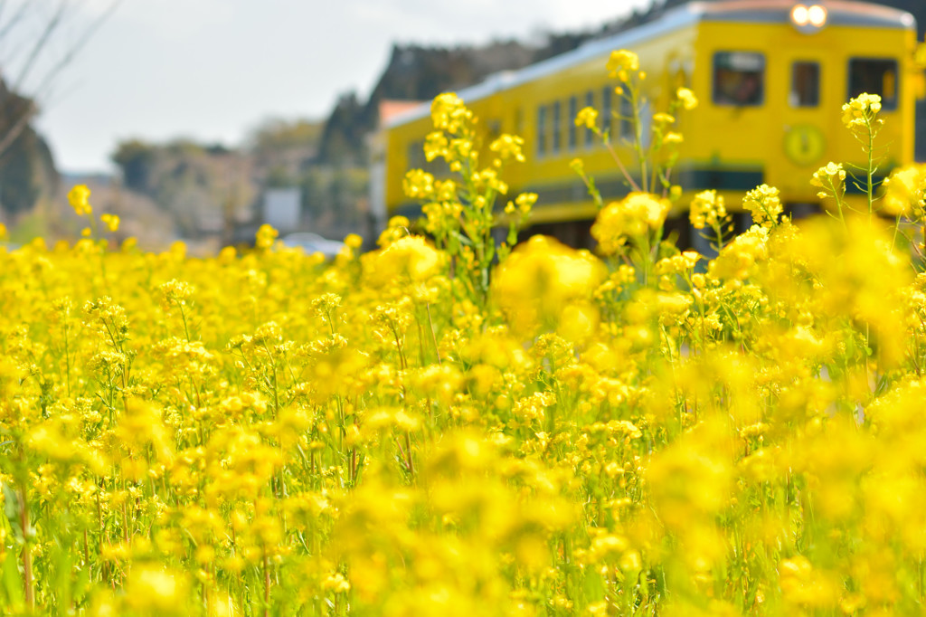 いすみ鉄道
