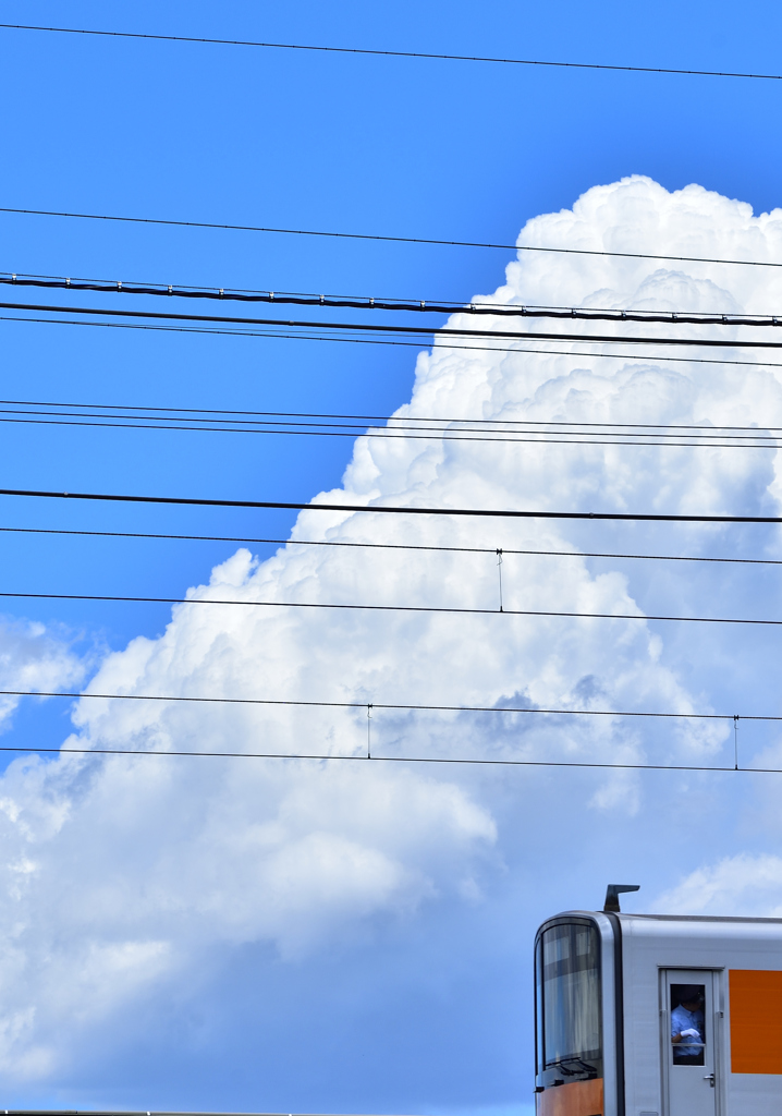 待ち遠しい夏②