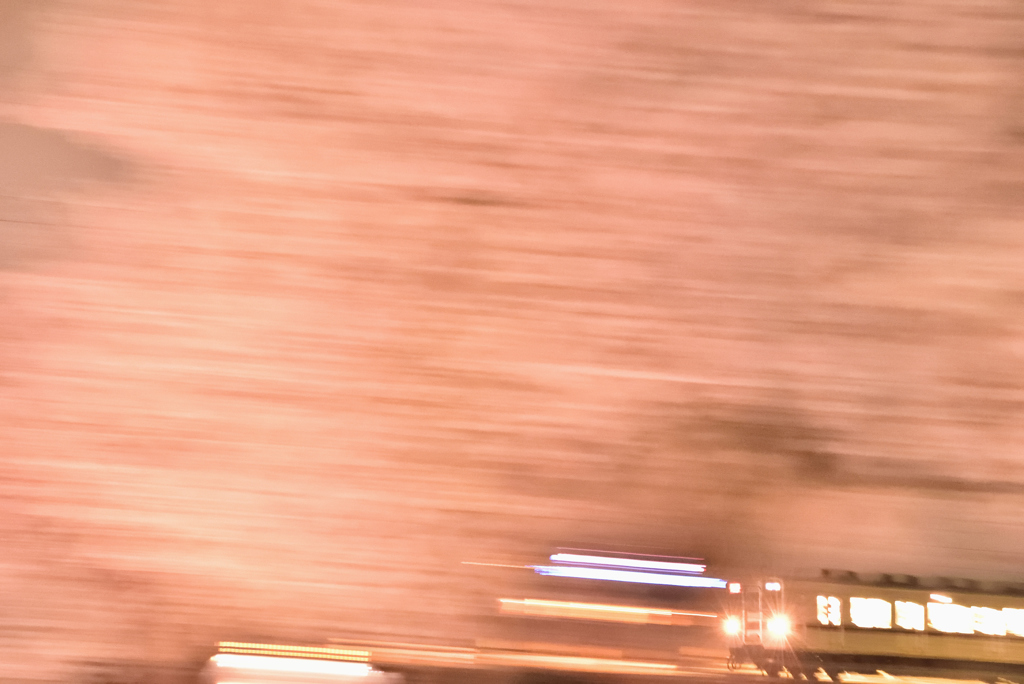 夜桜流し