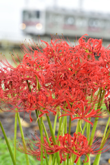 季節の便り2 季節の便り2