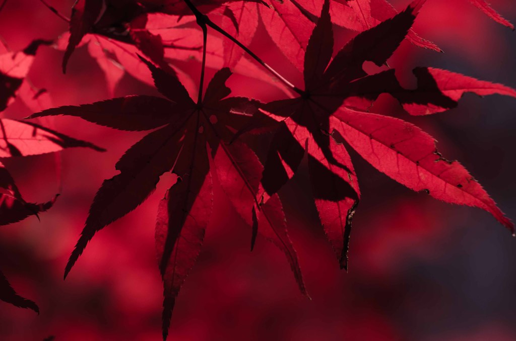 満身創痍