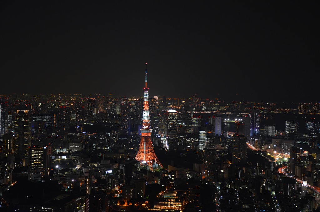 東京タワーを見て