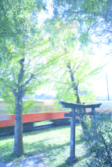 夢のひと時