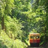 新緑の小湊鐡道