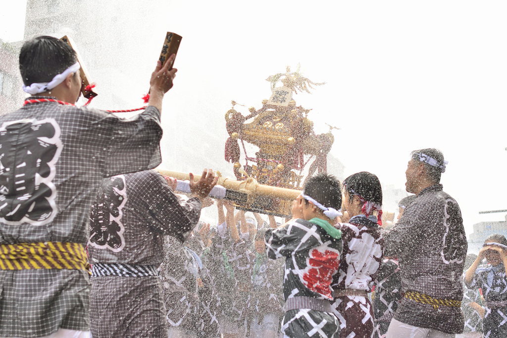 富岡八幡宮　子供神輿