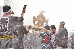 富岡八幡宮　子供神輿