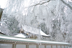 時が止まる。