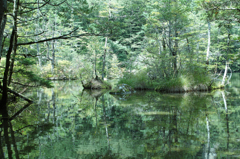 明神池（二の池）