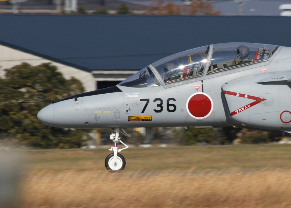 HAMAMATSU04