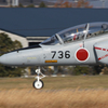 HAMAMATSU04