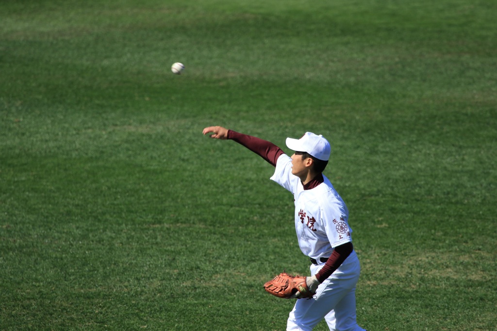 HANSHIN KOSHIEN STADIUM 05