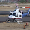 KOMAKI15