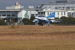 HAMAMATSU02