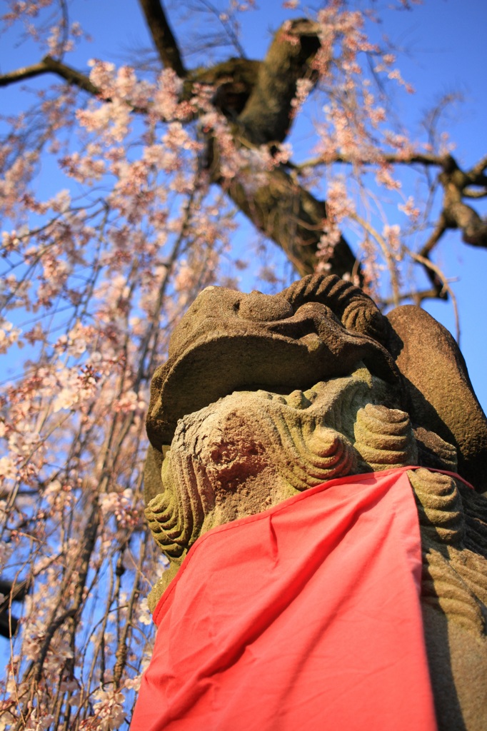 NARA02