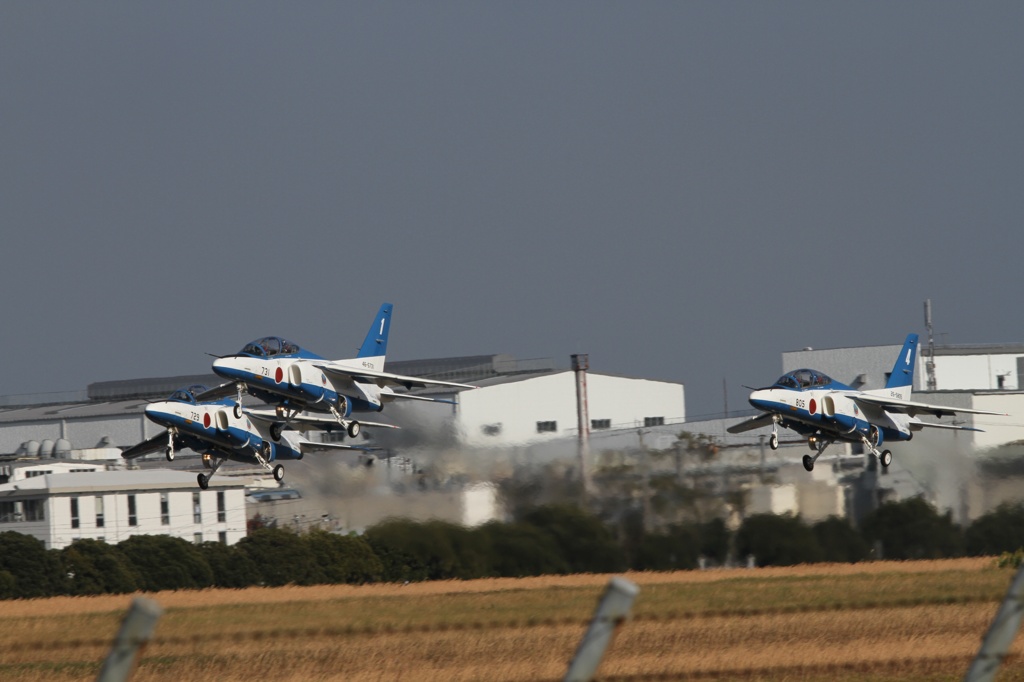 Blue hamamatsu01