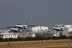 Blue hamamatsu01