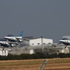Blue hamamatsu01
