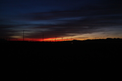 the evening 