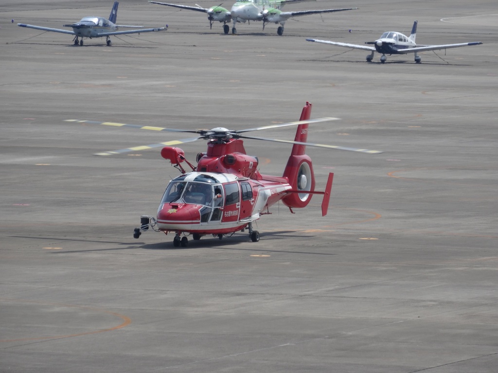 KOMAKI12