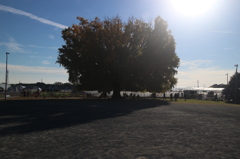 Park 01