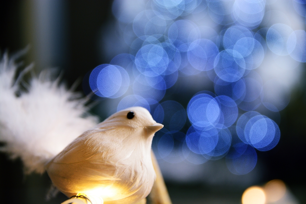 31.Bokeh