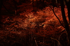 11.煌