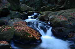 17.stream