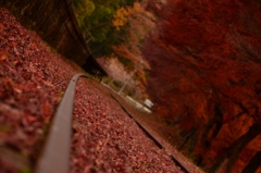 23.along the way